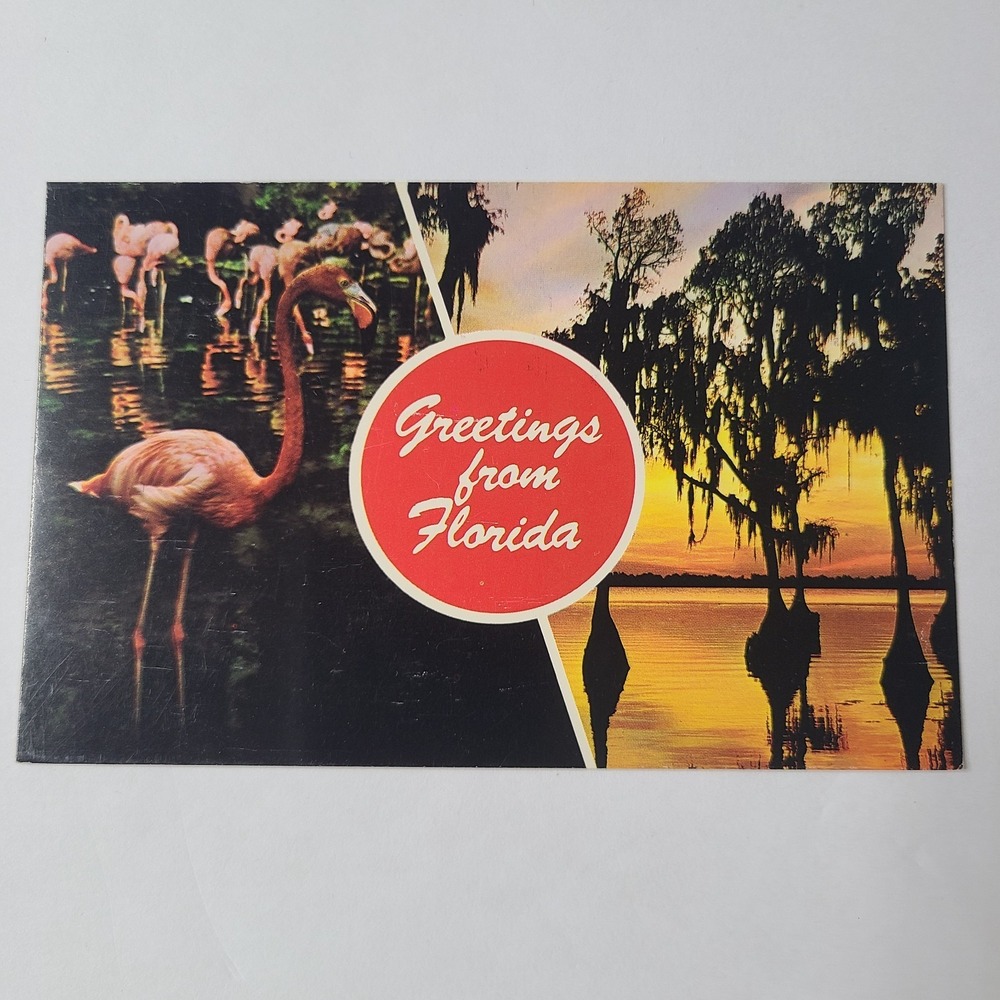 Postcard Greetings from Florida Sunset Flamingos Unposted Vintage